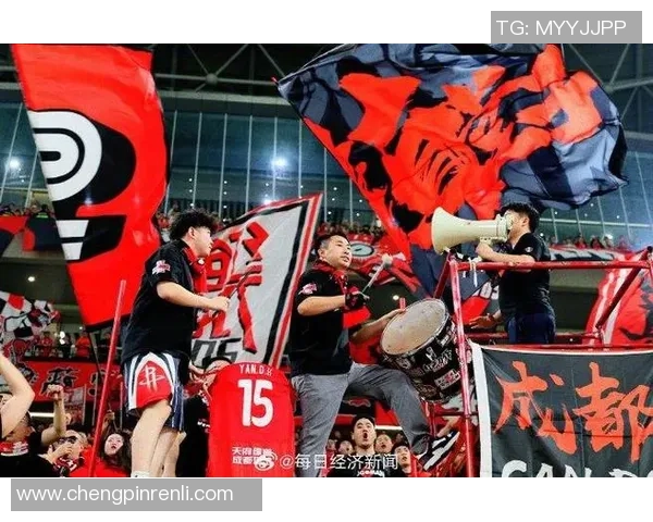 成都排球队战术引发热议球迷与专家观点大碰撞